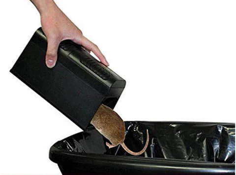 The Best Electric Mouse Trap