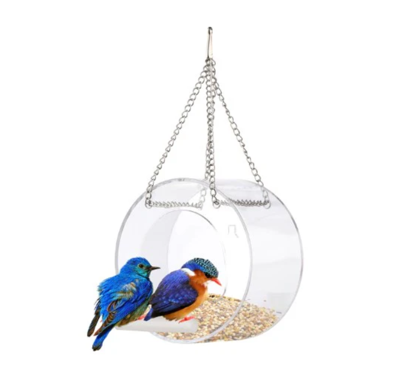 Smart Transparent Bird Feeder (Wifi Camera)