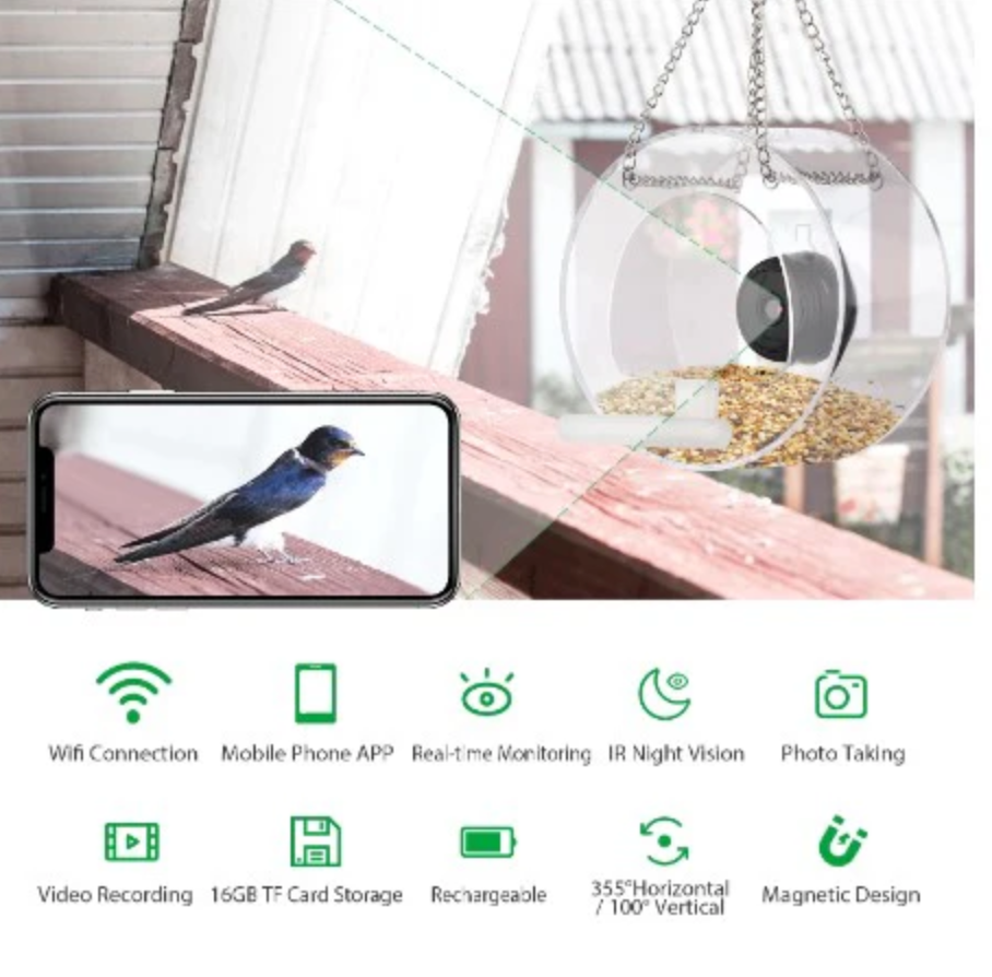 Smart Transparent Bird Feeder (Wifi Camera)