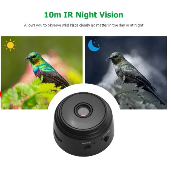 Smart Transparent Bird Feeder (Wifi Camera)