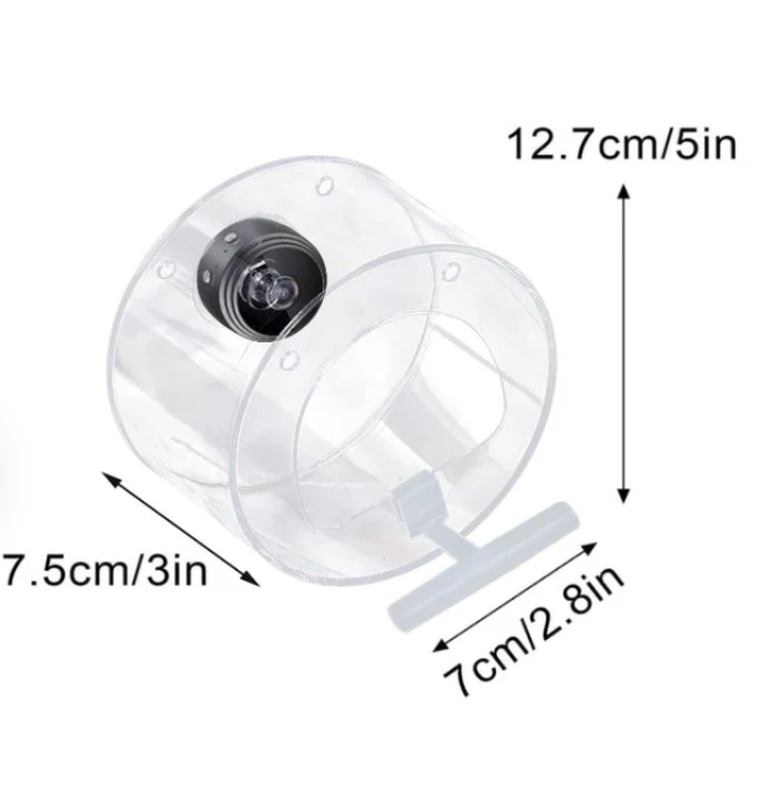 Smart Transparent Bird Feeder (Wifi Camera)