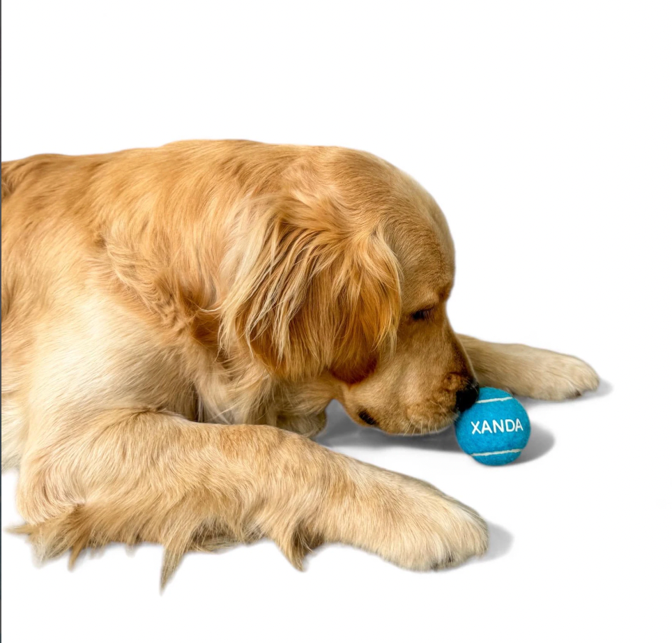 Custom Personalized Dog Ball / Dog Toy / Puppy Toys / Cat Toy / Tennis Ball Toy