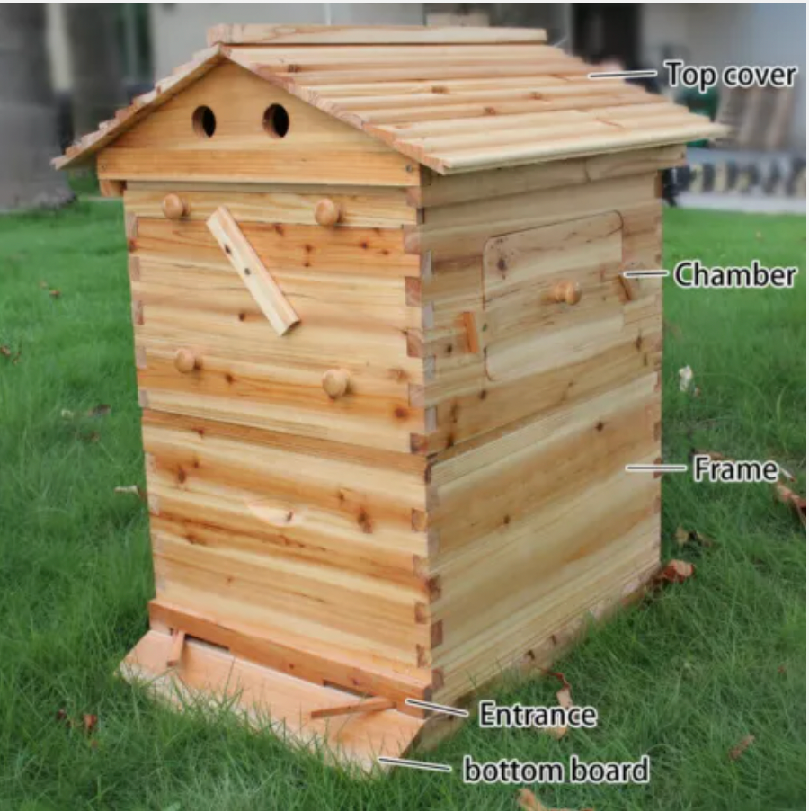 Auto Seep Full Set 7PCS Beehive Honey Hive Frame +Cedarwood Beekeeping Brood Box