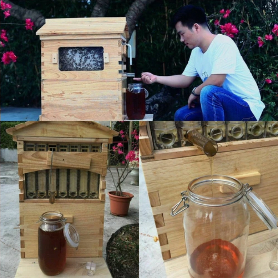 Auto Seep Full Set 7PCS Beehive Honey Hive Frame +Cedarwood Beekeeping Brood Box