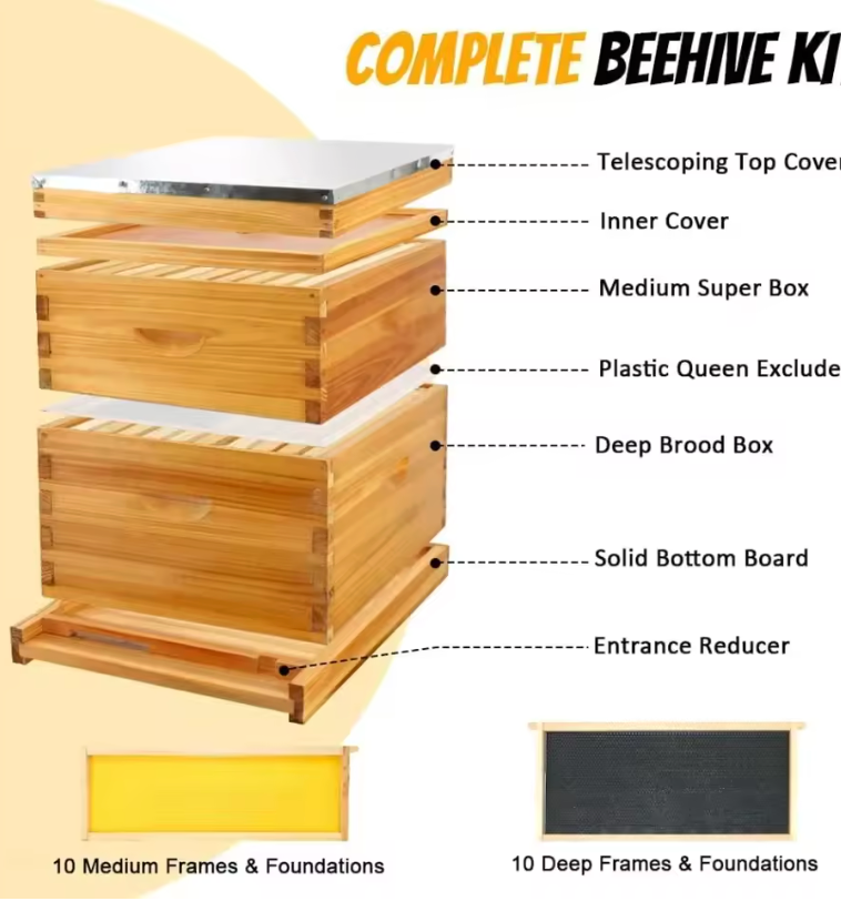 10-Frame Beehive Starter Kit – Complete Bee Hive Set with 1 Deep Brood Box & 1 Medium Super, Beeswax-Coated, Includes Frames