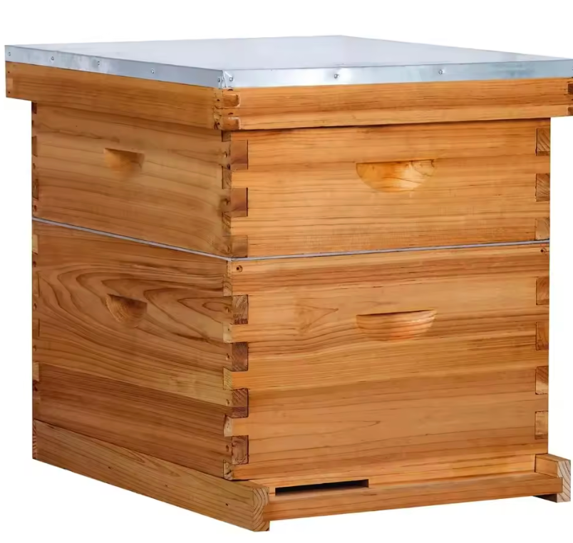 10-Frame Beehive Starter Kit – Complete Bee Hive Set with 1 Deep Brood Box & 1 Medium Super, Beeswax-Coated, Includes Frames