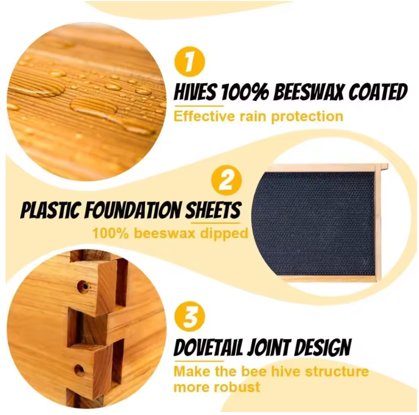 10-Frame Beehive Starter Kit – Complete Bee Hive Set with 1 Deep Brood Box & 1 Medium Super, Beeswax-Coated, Includes Frames