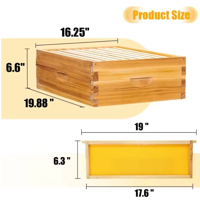 10-Frame Beehive Starter Kit – Complete Bee Hive Set with 1 Deep Brood Box & 1 Medium Super, Beeswax-Coated, Includes Frames