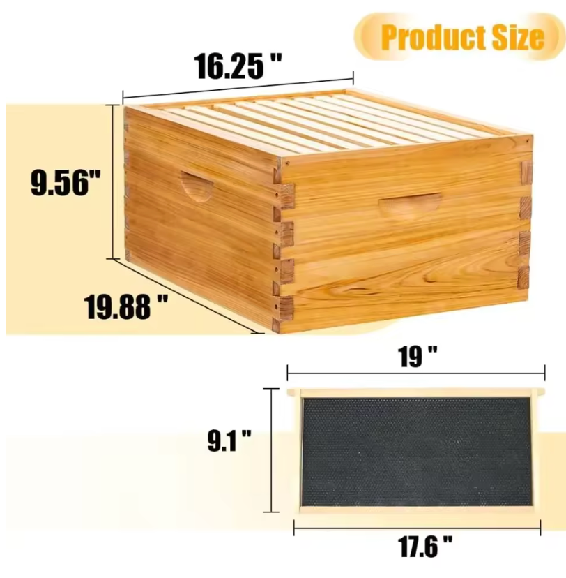 10-Frame Beehive Starter Kit – Complete Bee Hive Set with 1 Deep Brood Box & 1 Medium Super, Beeswax-Coated, Includes Frames
