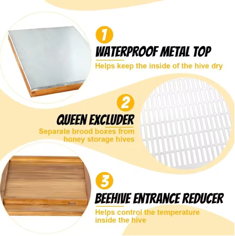 10-Frame Beehive Starter Kit – Complete Bee Hive Set with 1 Deep Brood Box & 1 Medium Super, Beeswax-Coated, Includes Frames