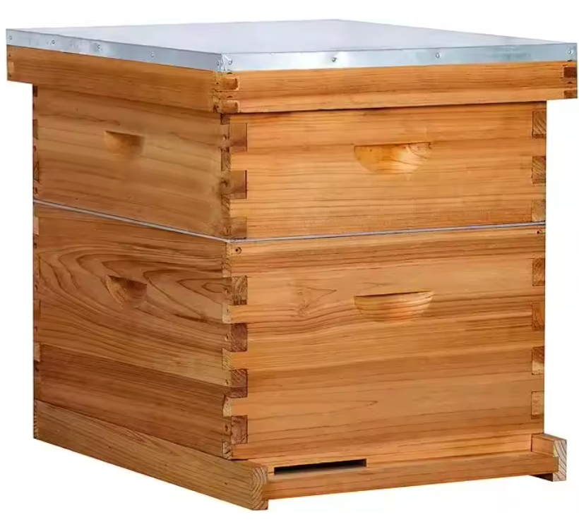 10-Frame Beehive Starter Kit – Complete Bee Hive Set with 1 Deep Brood Box & 1 Medium Super, Beeswax-Coated, Includes Frames