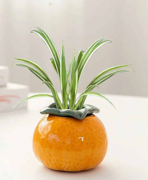 Ceramic Orange Hydroponic Tabletop Vase – Stylish Desktop Succulent & Flower Pot for Modern Home Décor