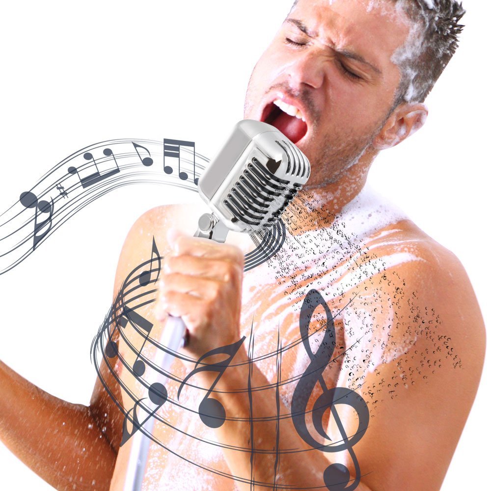Microphone Shaped Shower Head A Fun & Unique Bathroom Accessory for Music Lovers