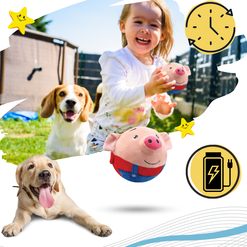Paw Bounce Sensor Toy