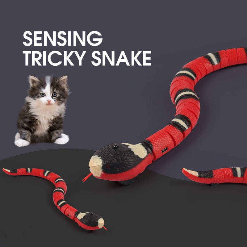 Snake Interactive Toy