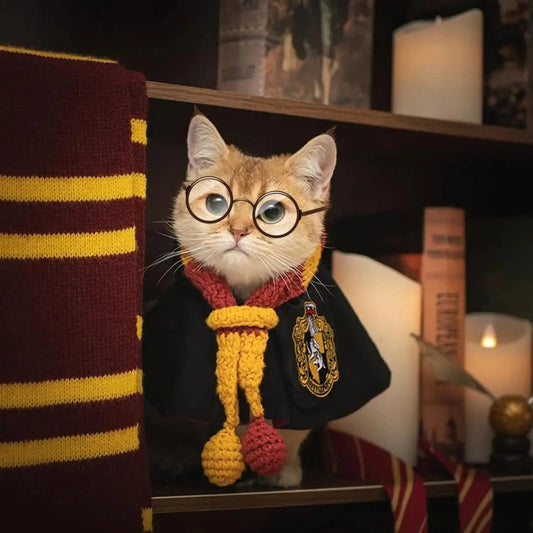 Halloween Pet Cloak Costume – Dog Cat Cosplay Magic Cloak with Glasses and Necktie, Cute Small Pet Clothes for Festivals