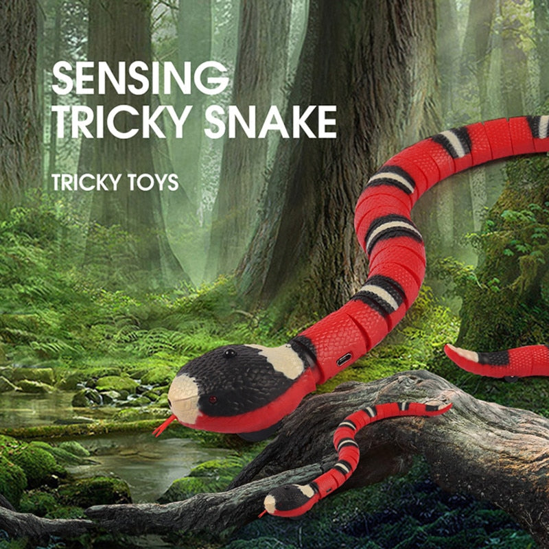 Snake Interactive Toy