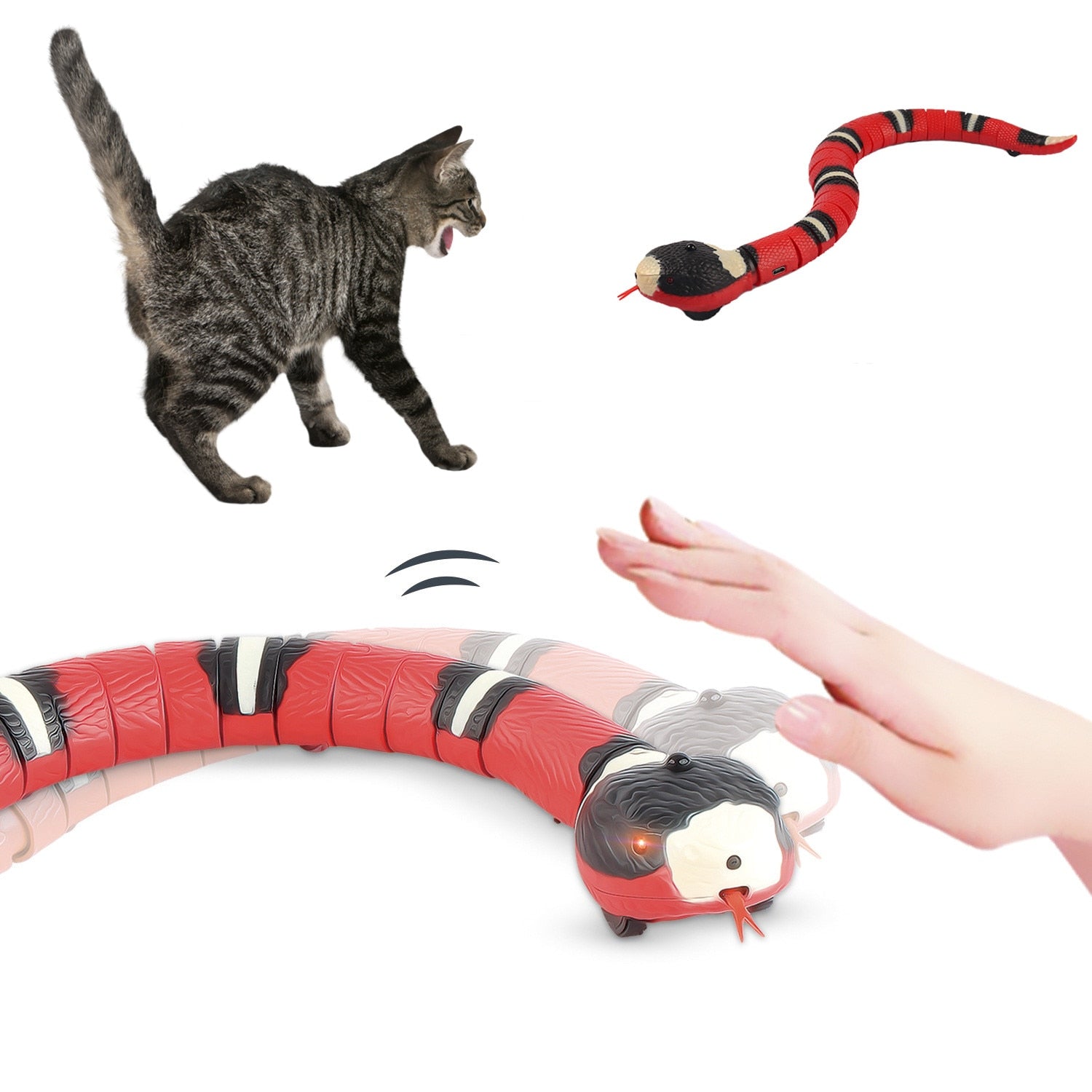 Snake Interactive Toy