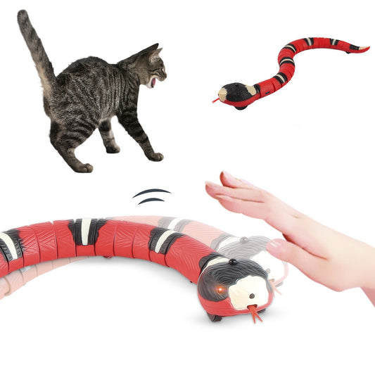 Snake Interactive Toy