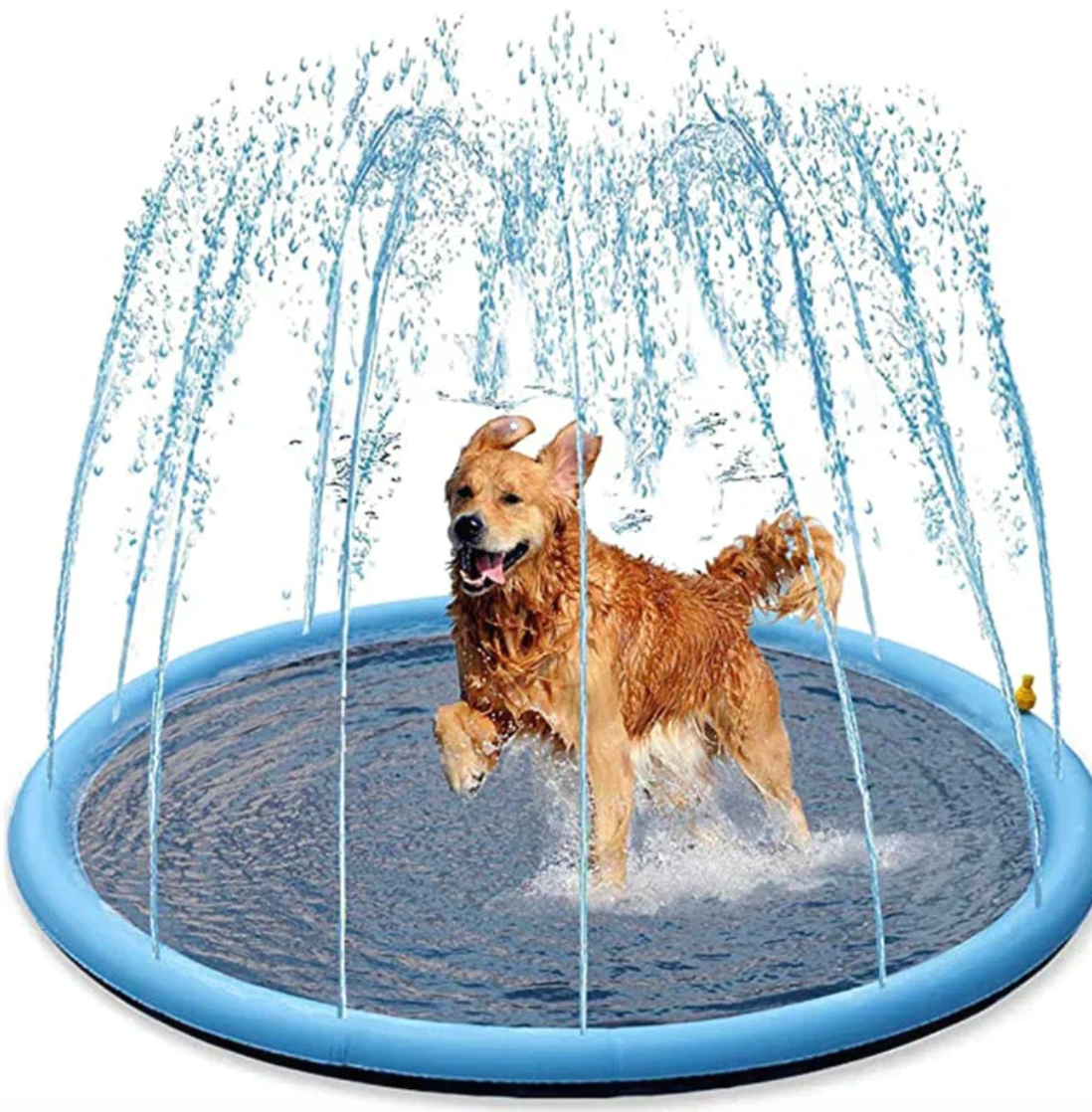 DogSplash™ - Refreshing Dog Sprinkler