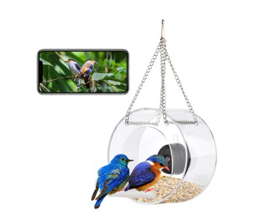Smart Transparent Bird Feeder (Wifi Camera)