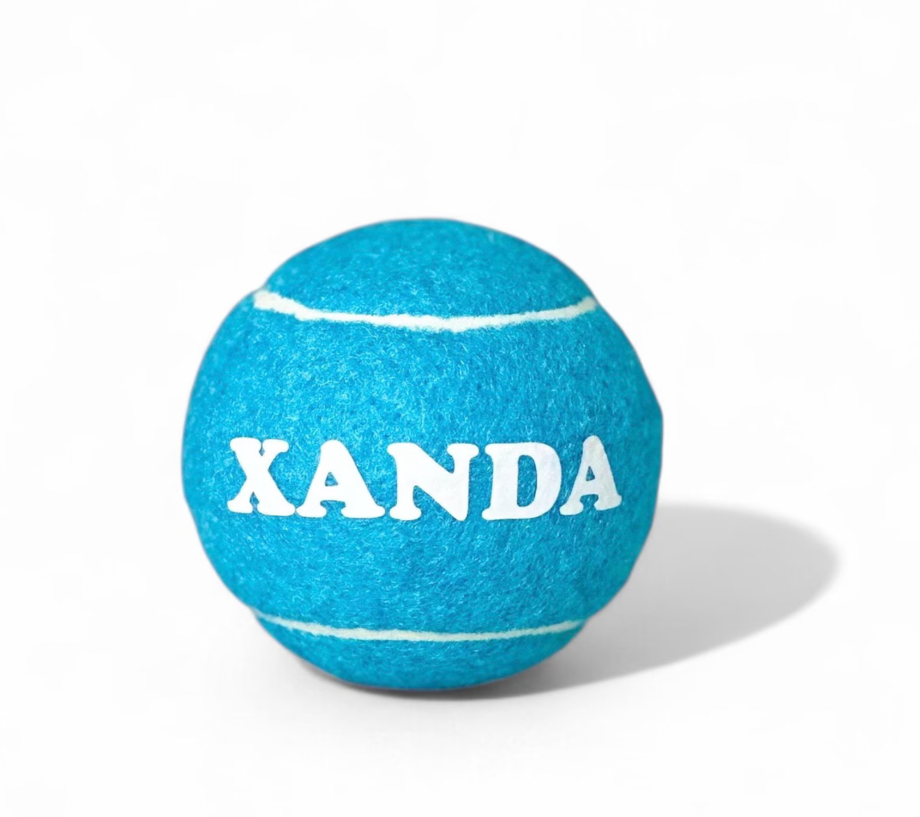 Custom Personalized Dog Ball / Dog Toy / Puppy Toys / Cat Toy / Tennis Ball Toy