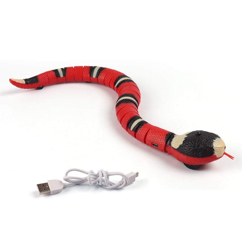 Snake Interactive Toy