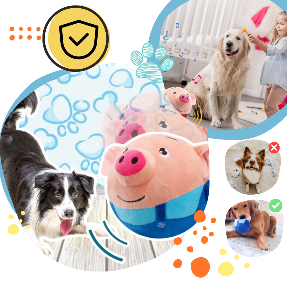 Paw Bounce Sensor Toy
