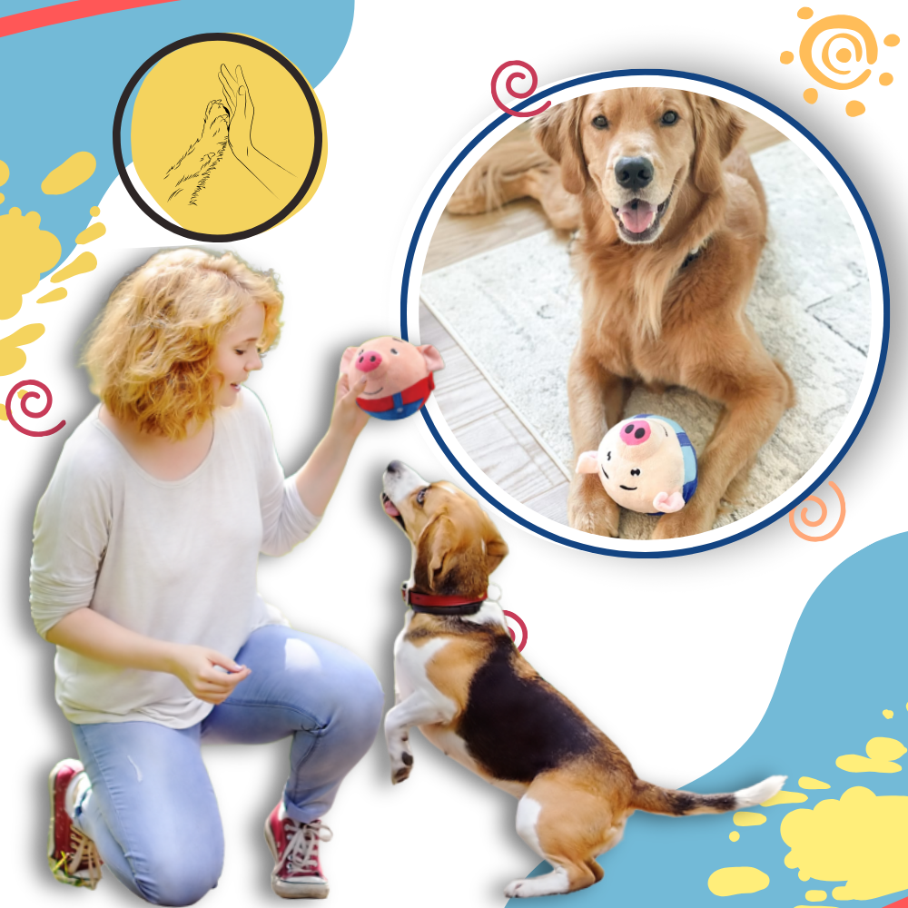 Paw Bounce Sensor Toy