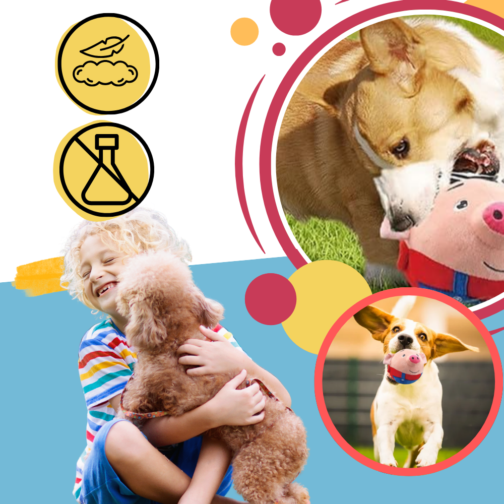 Paw Bounce Sensor Toy